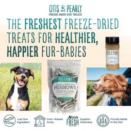 Otis & Pearly Freeze Dried Minnow Dog Treats - Single Ingredient, Made in USA - Healthy Protein Treat for Small, Medium, Large Breeds, 1 oz