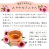 Echinacea Health Power Herb Concentrated Extract [Made in Japan] Simply