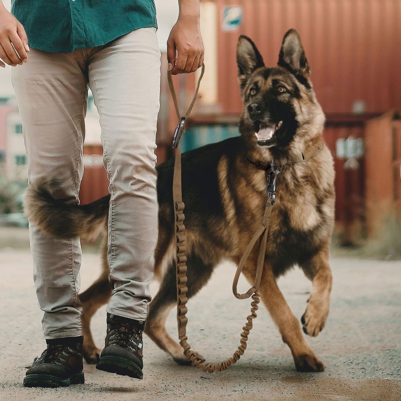 EXCELLENT ELITE SPANKER Tactical Bungee Dog Leash Military Adjustable Dog