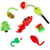 CHIWAVA 17 Pack Christmas Cat Toy Gifts Bag Set Assorted