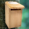 Coveside Sparrow-Resistant Bluebird House with Open Top – Slot Entry