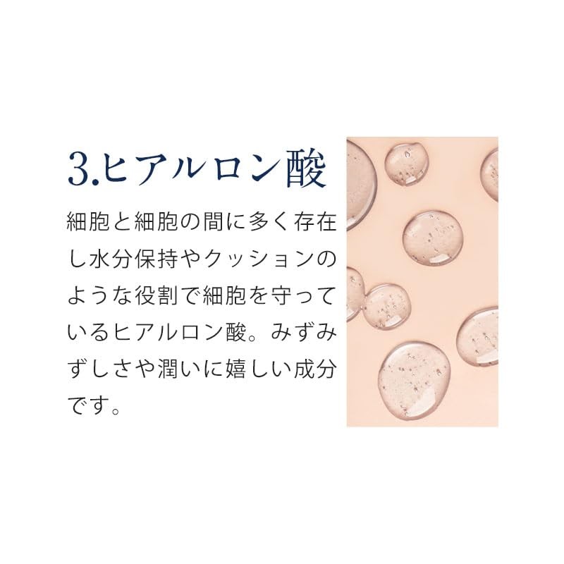 オーガランド (ogaland) プロテオグリカン Sante サンテ (180粒 / 約6ヶ月分) サプリ プロテオグリカン
