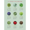 10x Concentrated Aomori Hiba Oil & 100ml (Hiba, Eucalyptus, Peppermint,