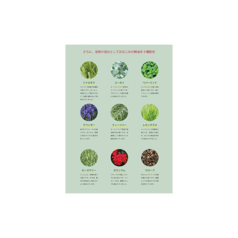 10x Concentrated Aomori Hiba Oil & 100ml (Hiba, Eucalyptus, Peppermint,