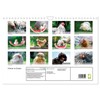 Chickens in the Garden Wall Calendar 2025 DIN A4 Landscape