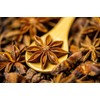 Trothic Spices Star Anise Whole | Chakri Phool | Badhiyan