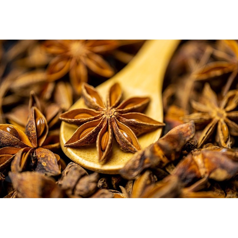 Trothic Spices Star Anise Whole | Chakri Phool | Badhiyan