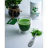MatchaTherapy Matcha Tea Measuring Spoon, 1 Gram, 1 Serving of