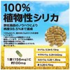 元気になるシリカ ＋ アミノ酸テアニン カプセル50粒入
