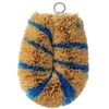 Turtle Baby Scrubber Cleaning for "simasimamini N 'Blue 60 X 100 X