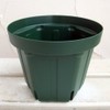 Outrageous Pot: No. 5 Moss Green, Set of 10 [Slit