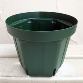 Outrageous Pot: No. 5 Moss Green, Set of 10 [Slit Pots]