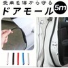 Door Molding Car Anti-Scratch Door Cover Protector Guard Anti-Scratch Door