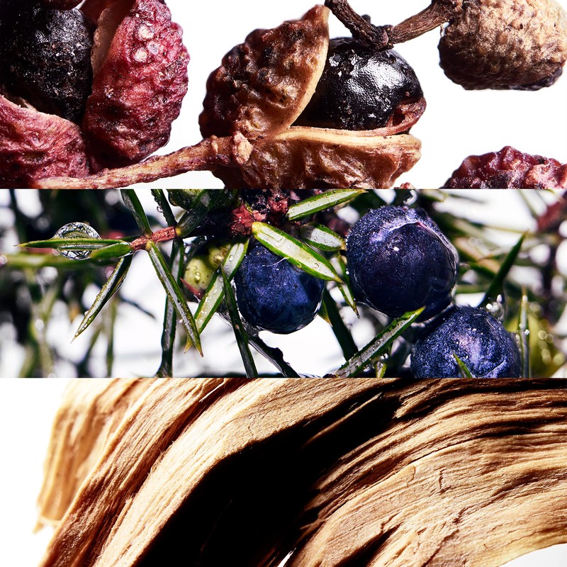 Davidoff Cool Water Wave Eau de Toilette 4.2 fl oz