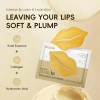 Mascarilla Labial Laikou Con Colágeno De Caracol, Zql1