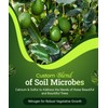 FoxFarm Happy Frog Citrus and Avocado Fertilizer- OMRI Listed Citrus