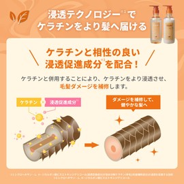 Sugni SGNI Penetrating Gloss Hair Shampoo & Treatment Refill Set, 11.5 fl oz (340 ml) Each Amino Acid Peptide Keratin