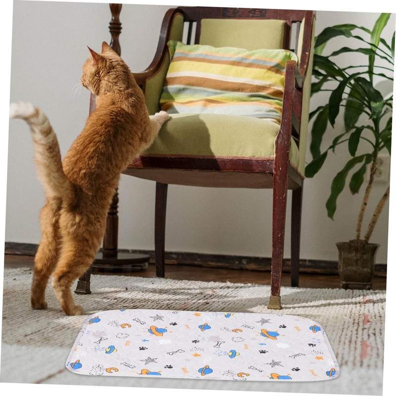 BESPORTBLE Training Pad for Dogs: Non-Slip and Absorbent Puppy Pee