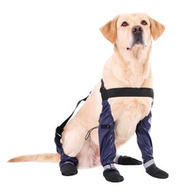 yucca Rubber Dog Boots for Paws, Easy-On Pet Suspender Boot Leggings, Anti Slip Dog Socks, Reusable Waterproof Dogs Booties, Protect Paws from Rain, Snow, Slush, and Snow Melt