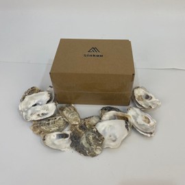 SINKOO Oyster Shells, 3" - 4" inch Oyster Shells for Crafts, Bulk Oyster Shells, Nautical Decor Vase Filler, Oyster Shells for Crafting, DIY Arts and Crafts