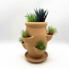 RISEON Six Pocket Terra Cotta Strawberry Jam Planter Strawberry Pot