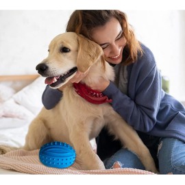 Kingdom Squeaky Rugby Ball Dog Toy