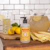 Mrs. MEYER'S CLEAN DAY Liquid Hand Soap, Cruelty Free, Hand