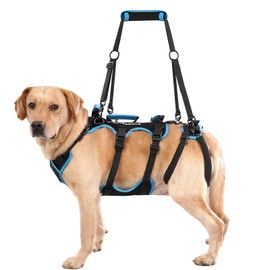 Lafoty Dog Lift Harness for Medium Male Dogs Friendly, 2 in 1 Detachable Support Harness, Full Body Dog Carrying with 4 Handles for Old/Disabled/Joint Injuries Dogs (Black, Medium)