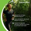 Zinc 10mg - Nature's Plus - 90 - Tablet by