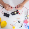 MECCANIXITY Electrical Circuit Experiment Set DIY Materials, 10Pcs 2.5V E10