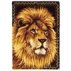 Wonderart Latch Hook Yarn, Lion