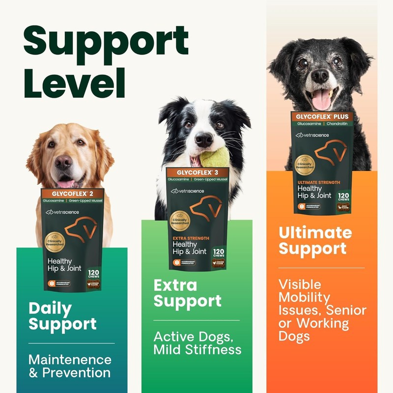 VETRISCIENCE Glyco Flex® 2 Hip and Joint Supplement for Dogs,