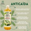 Shampoo Bao Botanico Extracto De Romero (anticaida) 1 Lt