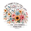 (2 Pack) Give Thanks to The Lord Magnets - Bible
