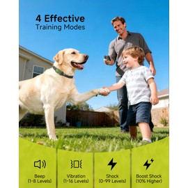 Jugbow Shock Collar for 2 Dogs (10-120lbs) - 4200FT Dog Training Collar with Remote, IPX8 Waterproof Electric Collar with 4 Training Modes, Rechargeable E-Collar for Large Medium Small Breeds