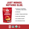 Mavuno Harvest Organic Dried Fruit Variety Pack | Dried Mango,