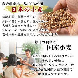 Medium Flour, Domestically Produced, 14.1 oz (400 g), Aomori Prefecture, Japanese Wheat, Domestic Wheat, Medium Flour, Commercial Use, Home Bakery Powder, Nevergoshi, Ground Flour