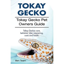 Tokay Gecko. Tokay Gecko Pet Owners Guide. Tokay Geckos care, behavior, diet, interacting, costs and health.