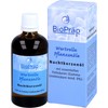 NACHTKERZENÖL Oenothera biennis 100 ml