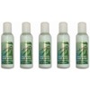 Rainkissed Leaves Body Lotion 2 Ounces Bottles - Set of