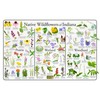 Where's Wildlife Native Wildflowers of Indiana Poster - Flower Chart