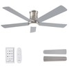 Autoday 52 Inch Low Profile Ceiling Fan with Light, Burshed
