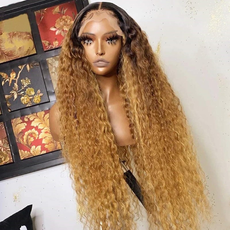 Fabimiya Curly Human Hair Wig Omber T 27 Lace Frontal