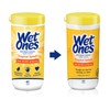 Wet Ones Antibacterial?Hand Wipes, Tropical Splash Wipes | Antibacterial Wipes,