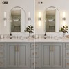 SANTOSTOCK Brushed Nickel Bathroom Light Fixtures, 2-Light Vanity Lights W/White
