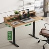 Our Modern Space 2-Tier Height Adjustable 45" Electric Standing Desk