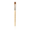 Jane Iredale Deluxe Shader Brush