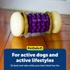 PetSafe Busy Buddy Nobbly Nubbly Treat Holding Dog Toy -