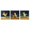 Stupell Industries Funny Yoga Chick Trio Farm Birds Stretching Poses,