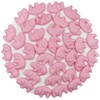 FirstChoiceCandy Pink Piglets, Pigs Gummy Candy (Raspberry Giant Pigs, 2